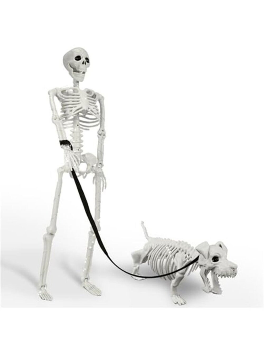 Lighted Human & Dog Skeleton Halloween Decorations Outdoor/Indoor - 36 Inch